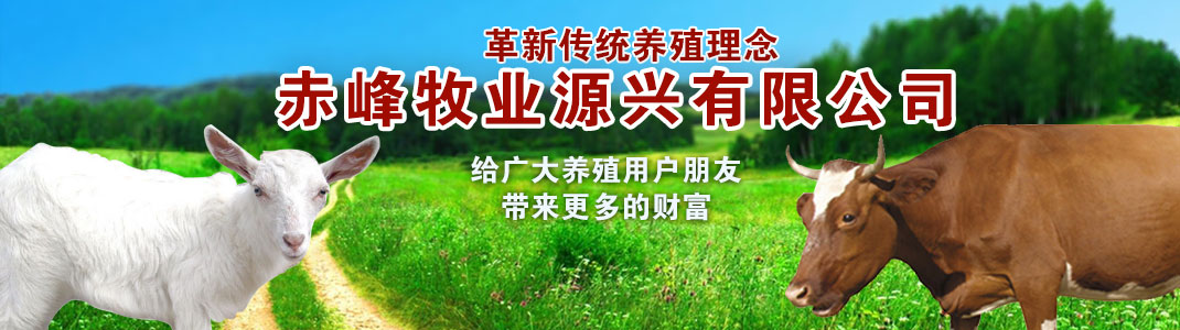 紡織潤滑劑，是您提高生產效率，改善產品質量的理想選擇